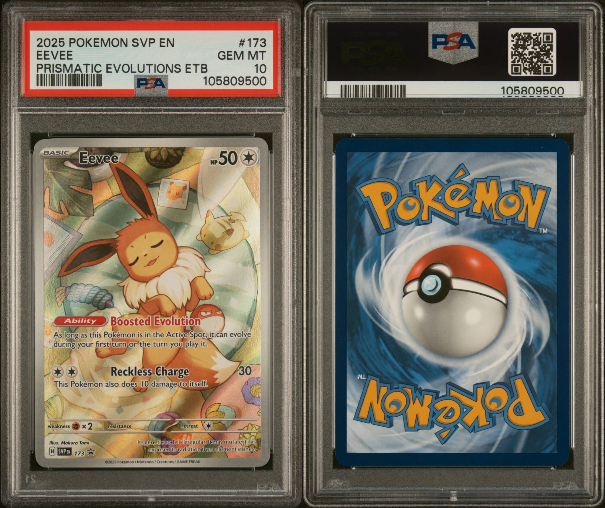 2025 POKEMON SVP EN-SV BLACK STAR PROMO #173 EEVEE PSA 10